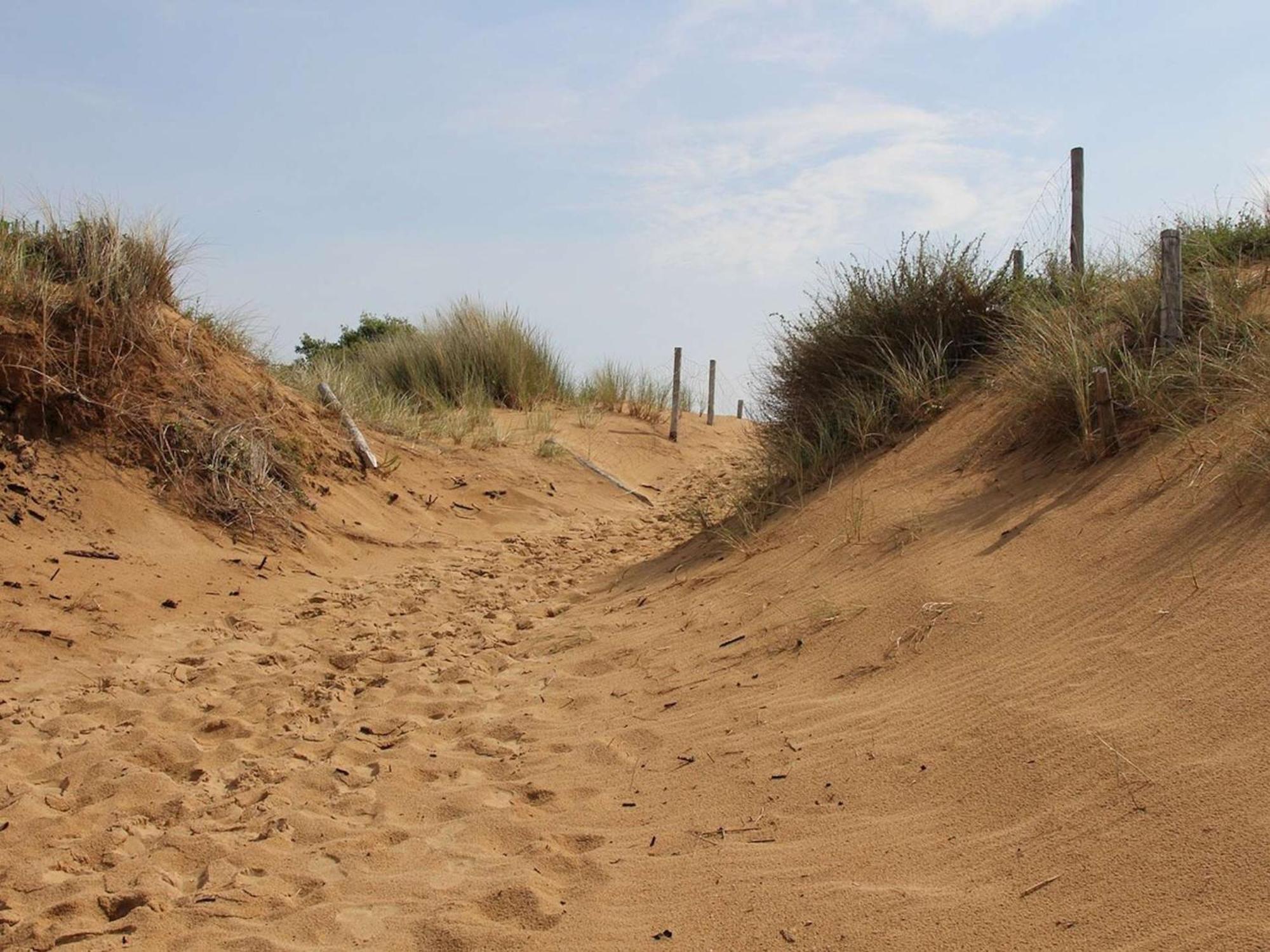 A La Cotiniere Proche Plages Et Commerces, Terrasse Privee, Parking Inclus - Fr-1-246a-291 * Saint-Pierre-d'Oleron